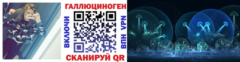 Псилоцибиновые грибы Psilocybine cubensis  KRAKEN ссылка  Каргат 